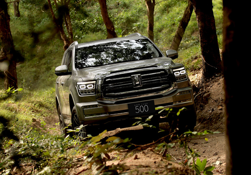 Off-road Cruise Control